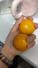 京喜加【双十一抢鲜】冰糖橙甜橙纯甜无酸水果 当季新鲜手剥橙现摘现发 冰糖橙2粒普箱 实拍图