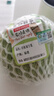 诸氏橙品【有机】绿甘蓝 新鲜蔬菜包菜卷心菜圆白菜 凉拌沙拉食材有机蔬菜 （3份*500g/份）凉拌伴侣 实拍图