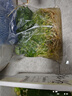 疯狂水草铜钱草鱼缸植物水草植物净化水质水养植物约50-100根源头直发包邮 实拍图