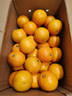 甜果源 湖南麻阳冰糖橙子 高山甜橙子果冻脐橙时令应当季新鲜水果礼盒品 净重9斤【超值实惠】 单果65-70mm（稀缺豪华大号果） 实拍图