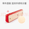 Hape(德国)音乐玩具宝宝吹奏乐器初学者布鲁斯口琴女男孩礼物E0616 实拍图