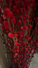 开时果 银柳鲜枝干花年宵花卉 红色真花福桶银柳水培植物室内装饰鲜花 【100cm】银柳50枝（喜庆红） 实拍图