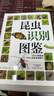 昆虫识别图鉴 实拍图