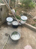 沃特浦防水涂料屋顶防水补漏材料房顶裂缝防水胶沥青王房屋楼顶防漏水胶 【黑色 20斤 】防晒防冻单遍约20平 实拍图