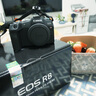 佳能r8 微单相机全画幅专微 4K视频EOSR8专业微单 下单抽拉布布&金豆 EOS R8单包机身【不含镜头 建议选购套装】 官方标配【不含内存卡相机包等必要配件 推荐选套餐】 实拍图