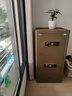 虎牌保险柜家用小型指纹密码WiFi保险箱办公全钢防盗可入墙 120双门(备注颜色) 驭尚系列（触控密码） 实拍图