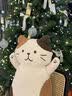 HAPiNS情人节礼物抱枕猫咪公仔玩偶可爱毛绒布玩具生日礼物男生送女友 FFN抱枕玩偶（奶酪猫） 75cm 实拍图