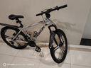 飞鸽（FG FLYING PIGEON）山地自行车成人男女变速山地车青少年中小学生车越野户外骑行单车 【高碳钢】G8002代-三刀轮-白色 26寸轮组（适合160-180cm） 21速入门版 实拍图