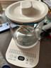 半球养生壶办公室小型煮茶壶全自动玻璃煮茶器家用多功能煮烧水壶2024新款 特价款(不保温) 1.8L 实拍图