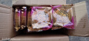 广式月饼莲蓉蛋黄老五仁100g豆沙蛋黄椰蓉味老式月饼礼品 单口味 100g 20个装 豆沙蛋黄 实拍图