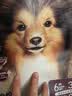 网易天成网易严选全价三拼犬粮狗粮金毛泰迪幼犬成犬通用型大袋天成20斤装 2kg*1袋 全犬期 实拍图