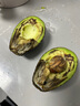 骑猴赶马进口牛油果当季新鲜水果鳄梨巨无霸森林奶油大果整箱送礼牛油果 单果150-180g 划算 8个 实拍图