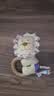 贵为（GiGwi）狗狗玩具耐咬松木毛绒帆布磨牙耐咬发声自嗨解闷幼犬小狗宠物玩具 呼啦圈-狮子 实拍图