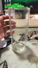 明尊（LIGHTKING）玻璃水杯茶杯 牛奶果汁杯办公室男女茶水杯耐热玻璃杯子套装 CP'22【300ml】2只装 实拍图