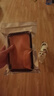 泰明扬新疆三文鱼中段 去皮整块切片刺身寿司生鱼片 冷冻冰鲜即食生鲜 中段整块净重 320g 【去皮去刺】 冷冻【可以存放】 实拍图