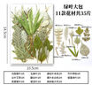 海伊朵 DIY押花混合干花树叶亲子手工滴胶干花材料包真花压花植物标本 DIY树叶大包（随机13款树叶1包） 实拍图