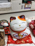 板谷山招财猫存钱罐摆件开业家居客厅好运连连储蓄罐儿童学生生日礼物 实拍图