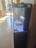 森森（SUNSUN）大型鱼缸底过滤水族箱客厅家用落地玻璃生态金鱼缸 【实时温显】1.2米长42cm宽（黑白灰可选） 实拍图