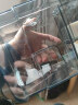 苏宁宜品除湿机抽湿机家用除湿器抽湿器小型除湿机干衣机卧室地下室干燥机回南天除湿神器补贴H10 3L/天 【米家款】米家智联+小爱同学+双核除湿 实拍图
