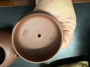 百年利永紫砂壶宜兴纯全手工泡茶壶功夫茶具倒把西施壶原矿清水泥230cc 清水泥 光素款 230ml 实拍图