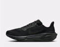 耐克（NIKE）Pegasus 41 GORE-TEX 耐克飞马 男子防水公路跑步鞋 FQ1356-001 44.5 实拍图