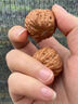 BJYL野生文玩花生核桃小秋子手捻女生迷你指尖桃核手玩男士把玩手把件 【原色】迷你小核桃25-28mm一对 实拍图
