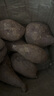 静益乐源商薯红薯 白心红薯 板栗红薯 农家地瓜 新鲜蔬菜 5斤中大果 实拍图