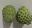 采缇（CAITI）现货大目凤梨释迦果5斤 新鲜番荔枝佛头果水果孕妇整箱 精选三斤中果（6-8个） 实拍图