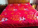 花花公子（PLAYBOY）家纺 婚庆四件套红色磨毛秋冬1.8x2米单双人床单被套床上用品 玫瑰恋人 2.0m床单款四件套-被套200*230cm 实拍图