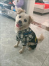 阿莫尔宠物小狗狗衣服秋冬装加绒加厚保暖泰迪比熊小型犬四脚衣猫咪衣服 灰色笑脸背带裤(四脚) XL-建议9-12斤内 实拍图