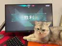 玲珑猫宠物智能可视自动喂食器 猫碗猫粮狗粮定时定量猫咪自动投食器 智能版+2.5L饮水机 实拍图