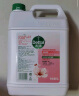 滴露（Dettol）抑菌洗手液滋润5L 大桶装补充装家庭装 消毒杀菌温和护手 实拍图