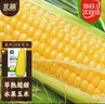 北蔬 水果玉米种子苗四季超甜生吃玉米种籽四季种 美珍206玉米种子50g 实拍图