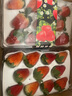 田拾记红颜草莓云南曲靖酸草莓非丹东99牛奶草莓水果新鲜送礼品物618 8盒礼盒装【蕞划算】 15粒装丨单果18-25g【更大更甜】 实拍图