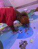 HELLOJOY狗狗零食成犬幼犬营养拌饭奖励拌粮辅食狗粮伴侣 肉松牛肉粒200g 实拍图