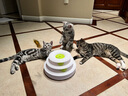 all for paws轨道蝴蝶飞飞(充电款) 自动逗猫玩具逗猫棒 猫咪玩具 自动旋转 实拍图