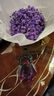 爱满（AIMAN）满天星天然干花花束ins网红生日 新房装饰摆件风干真插花家居摆设 紫色满天星  【带M款花瓶】 实拍图