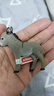 思乐（Schleich S）新年礼物仿真农场家禽动物模型羊驼猪兔羊驴猪火鸡男女孩儿童玩具 小驴13746 实拍图