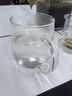 忆壶茶（YIHUTEA） 茶杯玻璃杯茶水分离泡茶杯 带过滤花茶杯 家用耐热装开水杯子 【加大容量】君子杯500ML 实拍图