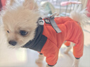 SLPC狗狗衣服冬天保暖中小型犬加厚四脚狗棉衣泰迪柯基小狗幼犬冲锋衣 橙 M（适合约5-8斤） 实拍图