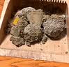 瑞美贝猫咪尿闭利尿尿频尿血猫尿闭猫咪泌尿系统尿路不畅营养 50ml*1瓶 效果好怕不够用 实拍图