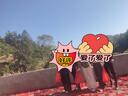 真维斯（JEANSWEST）牛仔裤女秋季宽松阔腿裤子女潮流韩版小个子直筒裤简约米白色S 实拍图