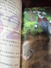【大全集可选】神探迈克狐 彩绘版/注音版/漫画版 第一二三四五六七八辑 全套49册可选 灰狼危机篇千面怪盗侦探大赛神秘组织獠牙危机孤岛寻踪国际学院篇 儿童侦探推理探案小说烧脑书 【珍藏探案礼盒】第一二 实拍图