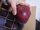 甘美农【顺丰】正宗甘肃天水花牛脆甜粉面苹果蛇红果老人应季礼盒 5斤大果8-9个(单果260g+) 实拍图