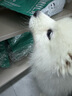 凯锐思 萨摩耶狗粮幼犬成犬全阶段专用萨摩犬粮专用粮2kg 【经典款20斤】2kg*5 2kg/袋 成幼犬 萨摩耶专用 实拍图