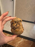 清晨里 咖啡乳酪司康饼英式下午茶休闲零食办公室甜品点心小吃 咖啡乳酪司康 60g 实拍图