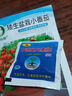 典絮六倍利种孑七彩盆栽四季开花易种活花种子籽室内花卉植物 （凤仙花200粒+肥） 实拍图