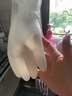 冉邦厨房洗碗手套女长袖干活加长刷碗橡胶胶皮家用薄款洗衣服防水夏季 实拍图
