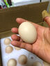 百味殿散养土鸡蛋 谷物蛋初生鲜鸡蛋 农家山林谷物喂养笨鸡蛋柴鸡蛋 8枚 单枚40g±5g 实拍图