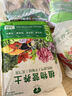 营养土养花通用型种花种菜多肉植物花卉盆栽兰花专用有机营养土泥 实拍图